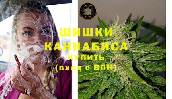 молекула духа Богданович