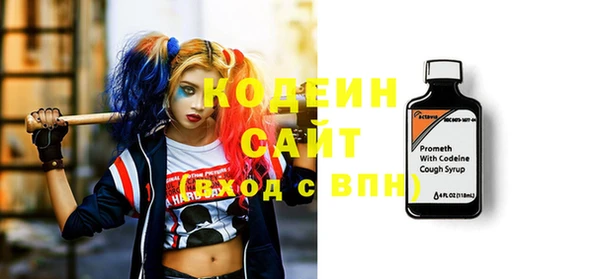 молекула духа Богданович