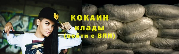 молекула духа Богданович