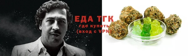 молекула духа Богданович