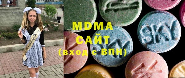 молекула духа Богданович