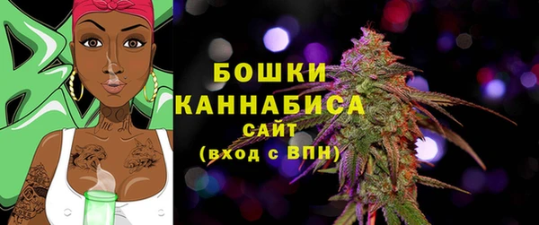 молекула духа Богданович