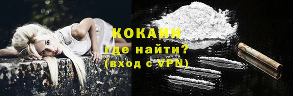 молекула духа Богданович
